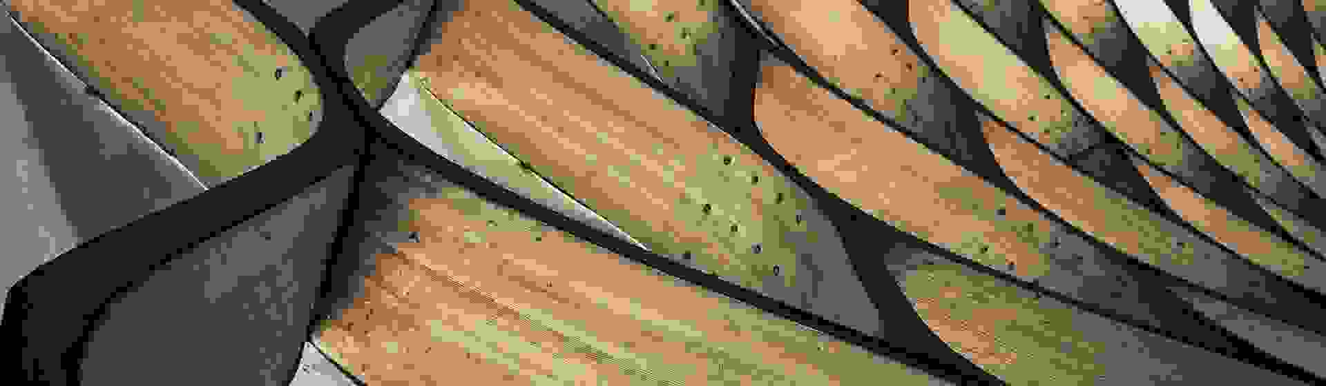 Front steps to apartment building
